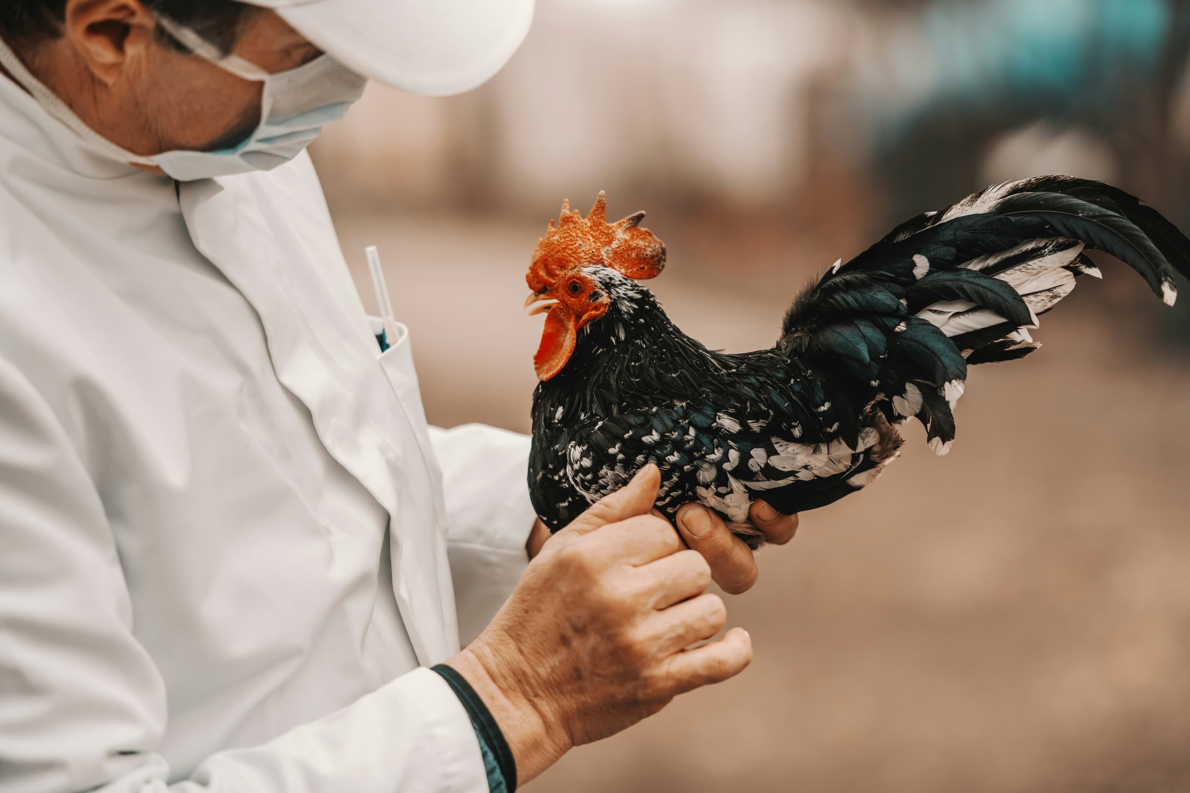 Is the world ready for a bird flu pandemic? Airfinity assesses global vaccine stockpiles and preparedness